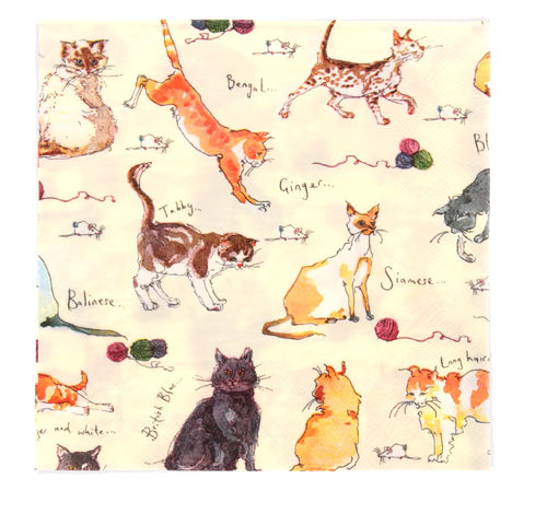 Papierservietten "Cats" von Madeleine Floyd by Ulster Weavers. Paper napkin