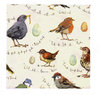 Papierservietten "Bird Song" von Madeleine Floyd by Ulster Weavers. Paper napkin